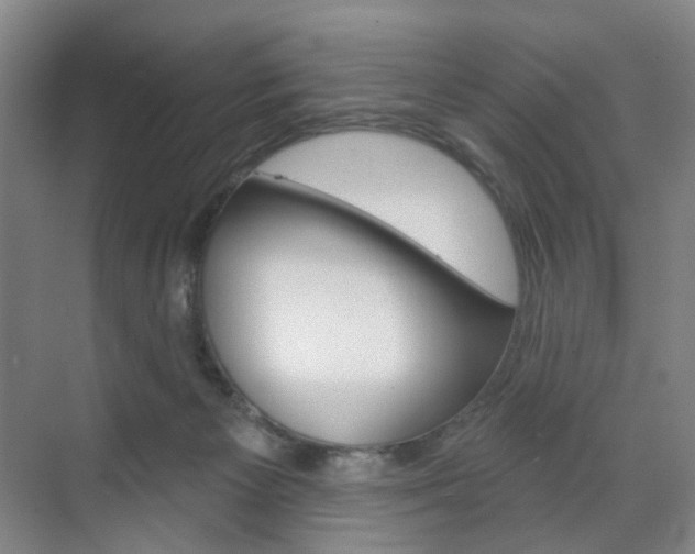 X0000071800125200606301019