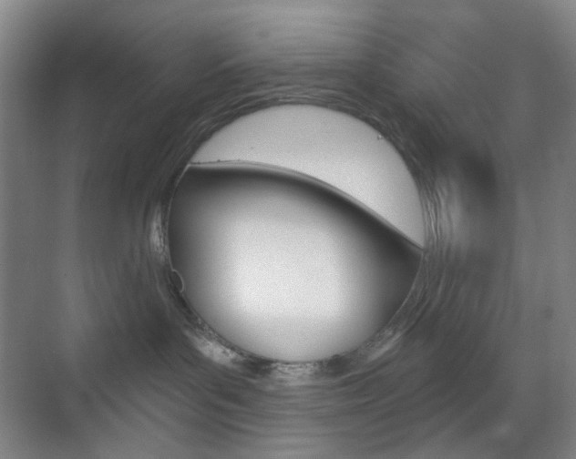X0000071800143200606301019