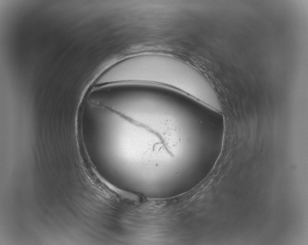 X0000071800148200606301018