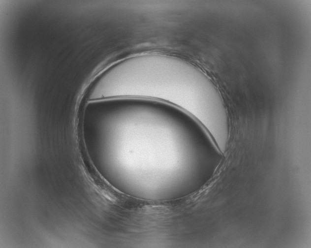 X0000071800150200606301018
