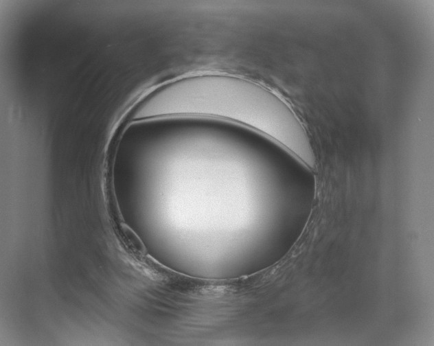 X0000071800152200606301018