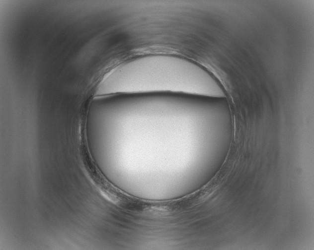 X0000071800157200606301019