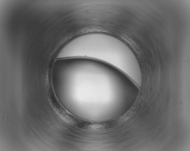 X0000071800158200606301019