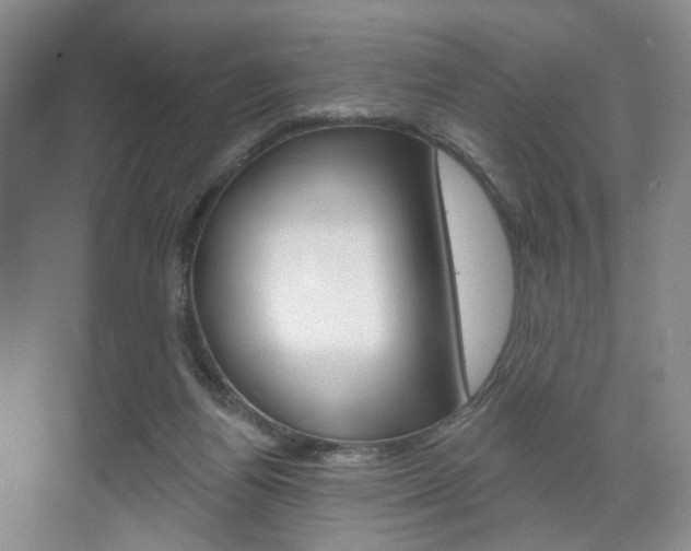 X0000071800164200606301019