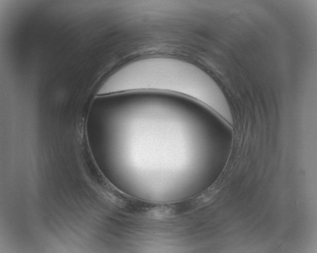 X0000071800168200606301019