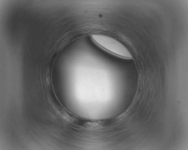 X0000071800170200606301019