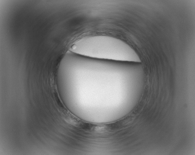 X0000071800173200606301019
