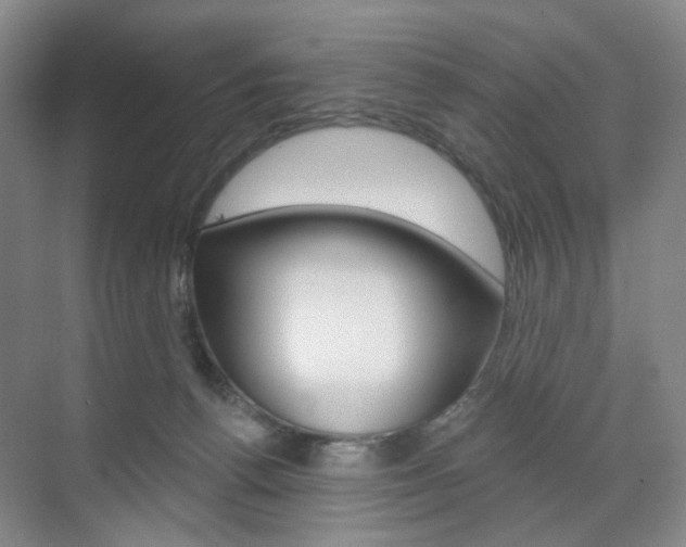 X0000071800176200606301019