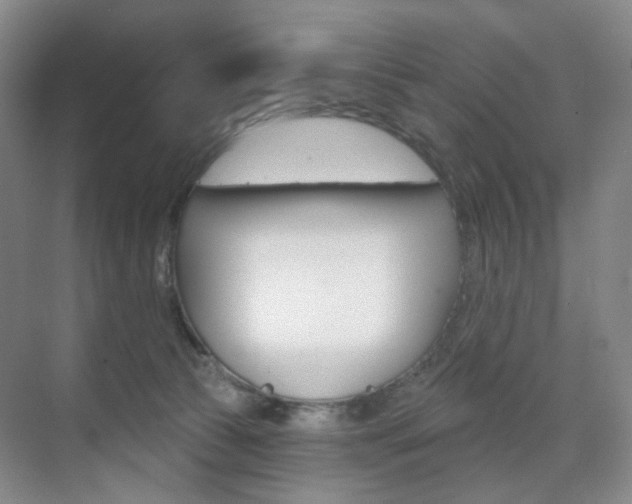 X0000071800177200606301019