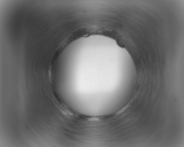X0000071800183200606301019