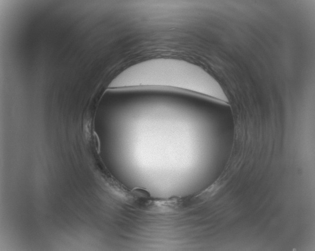 X0000071800188200606301019