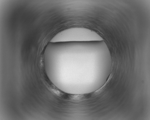 X0000071800191200606301019
