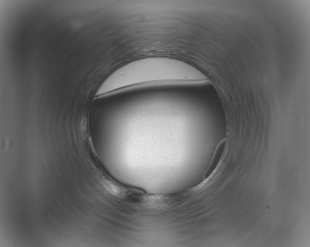 X0000071800192200606301019