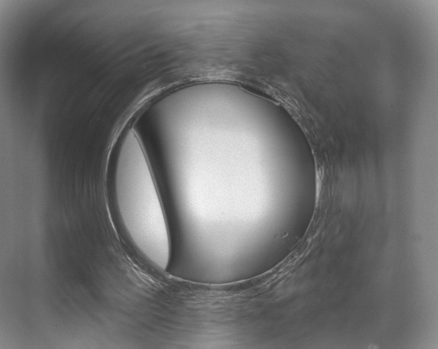 X0000071800195200606301018