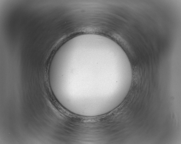 X0000071800208200606301018