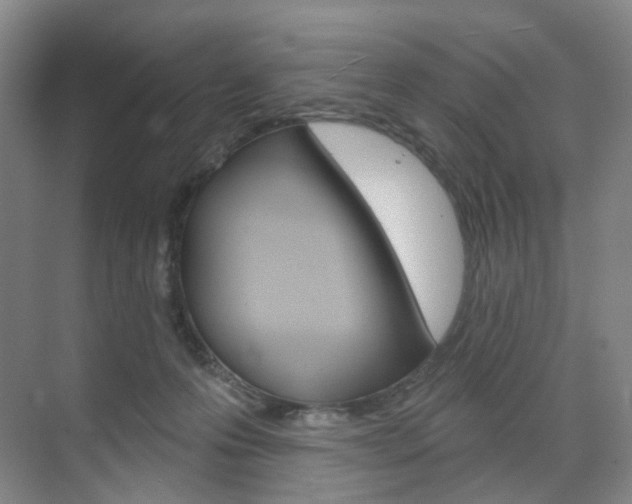 X0000071800223200606301018