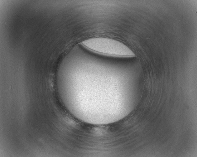 X0000071800232200606301018