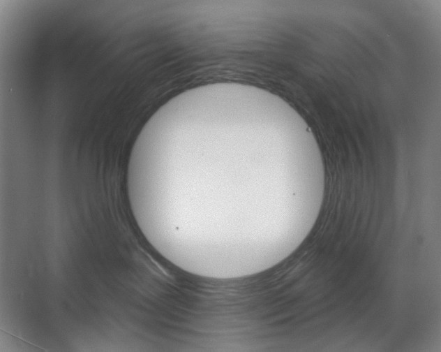 X0000071800239200606301018