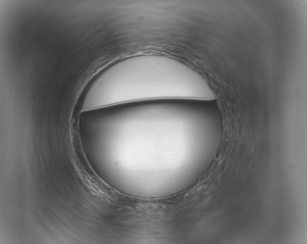 X0000071800242200606301017