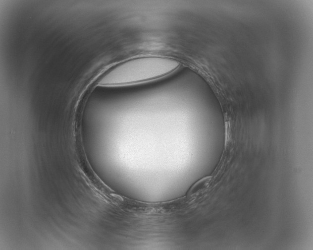 X0000071800243200606301017