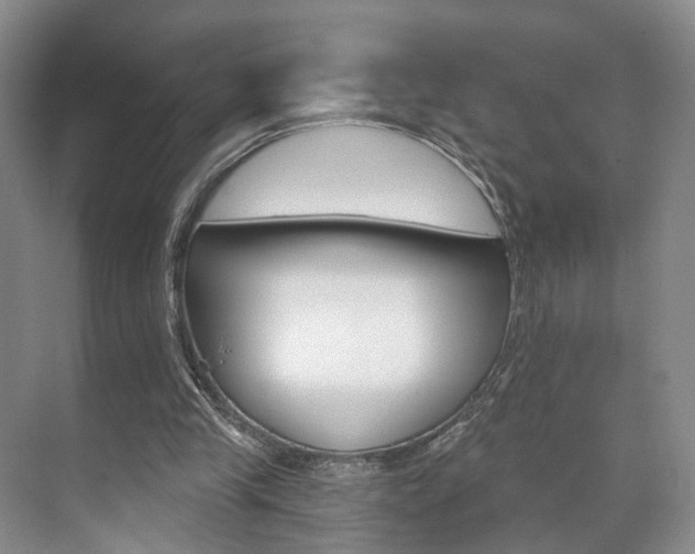 X0000071800245200606301017