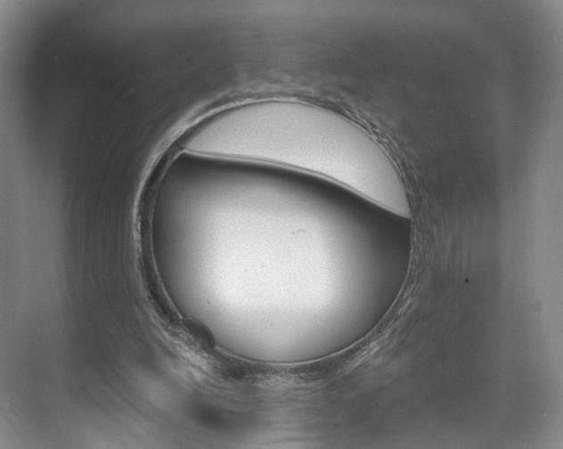 X0000071800246200606301017