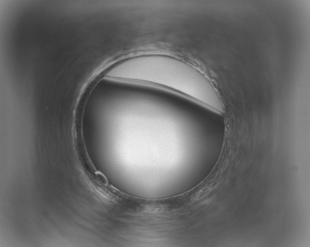 X0000071800248200606301017