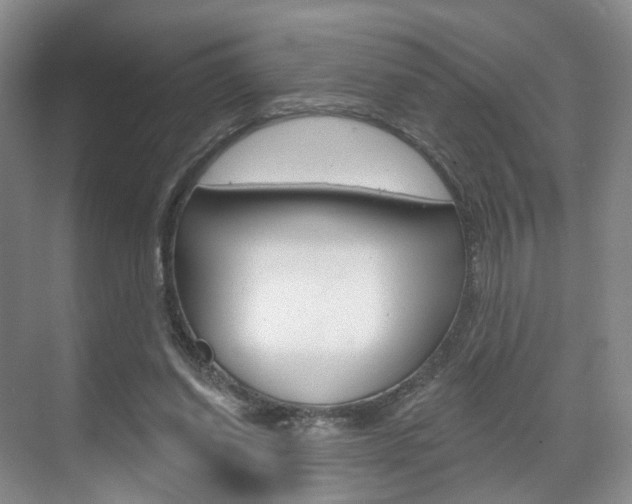 X0000071800254200606301017