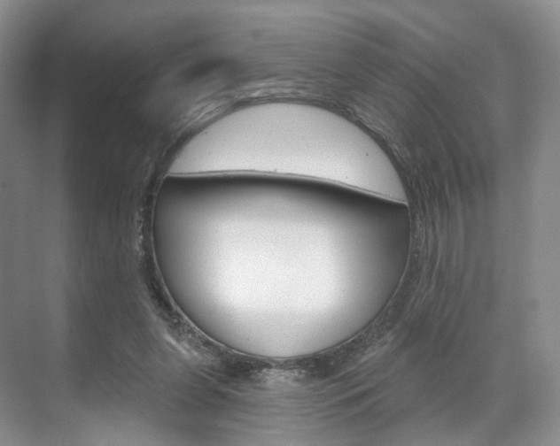 X0000071800255200606301017