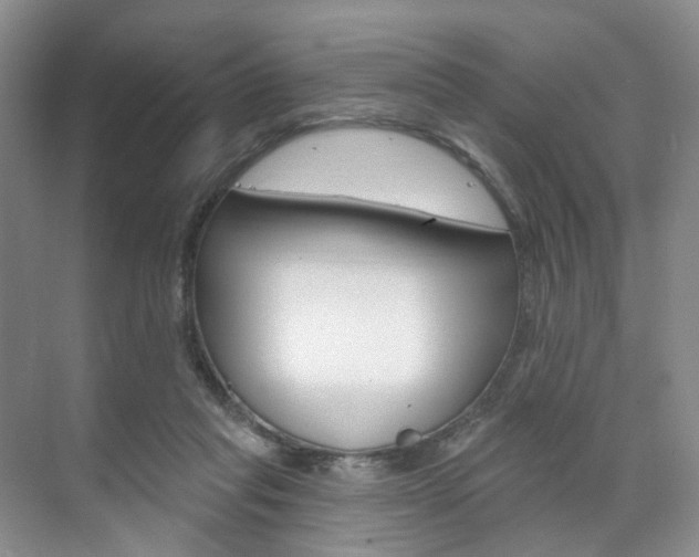 X0000071800261200606301017