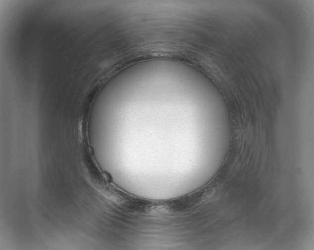 X0000071800262200606301017
