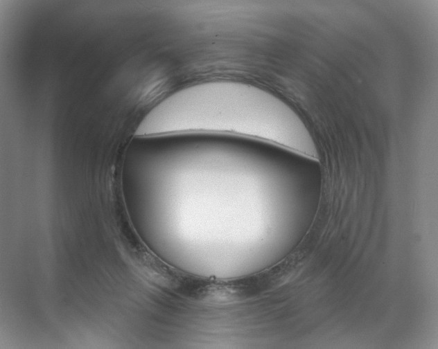 X0000071800263200606301017