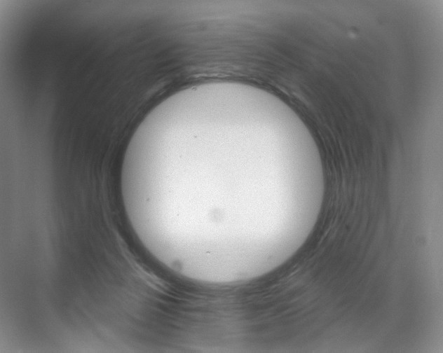 X0000071800264200606301017