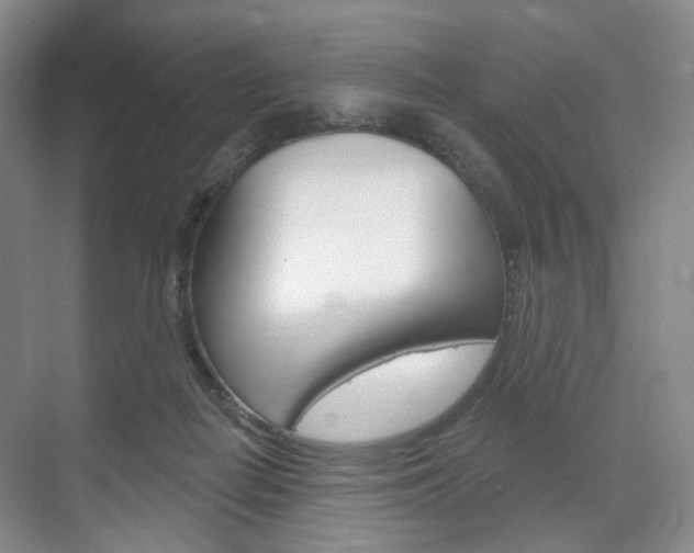 X0000071800266200606301017