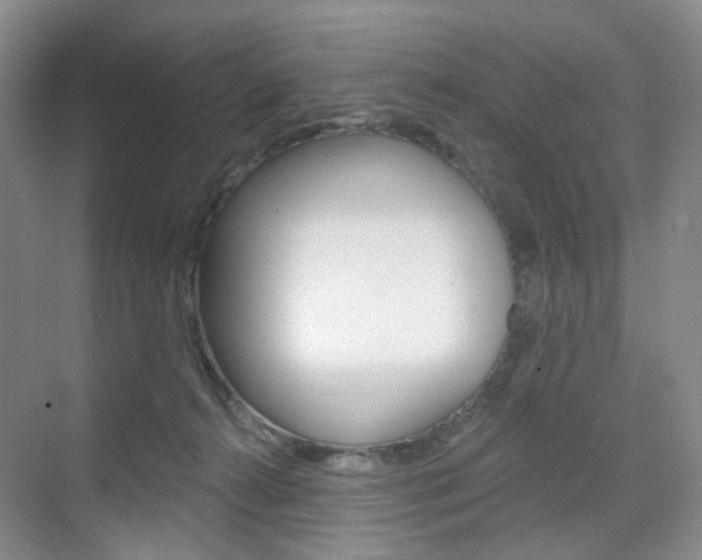 X0000071800272200606301017