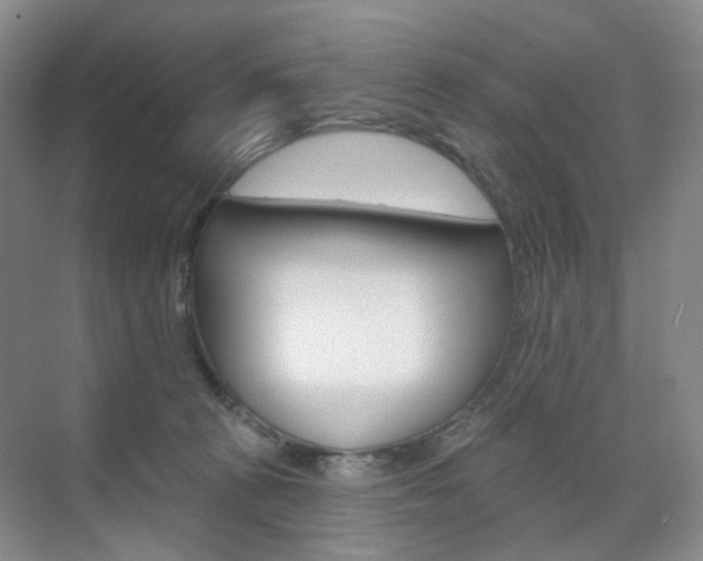X0000071800273200606301017