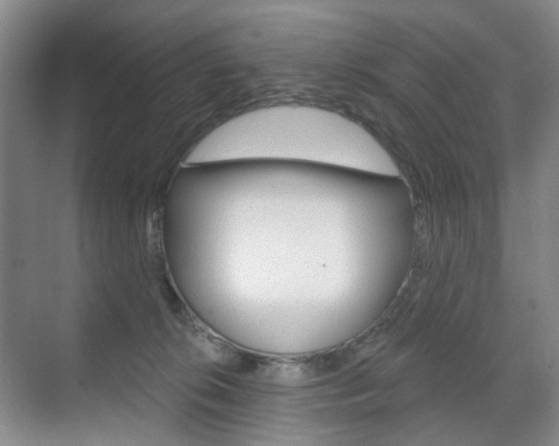 X0000071800276200606301017