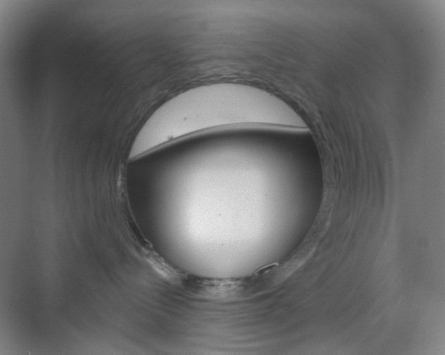 X0000071800288200606301018