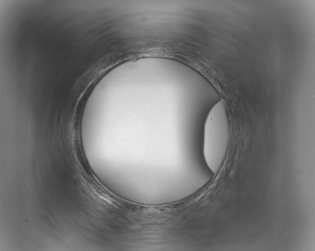 X0000071800290200606301017