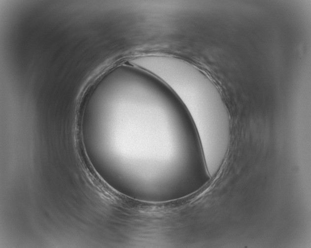 X0000071800293200606301017