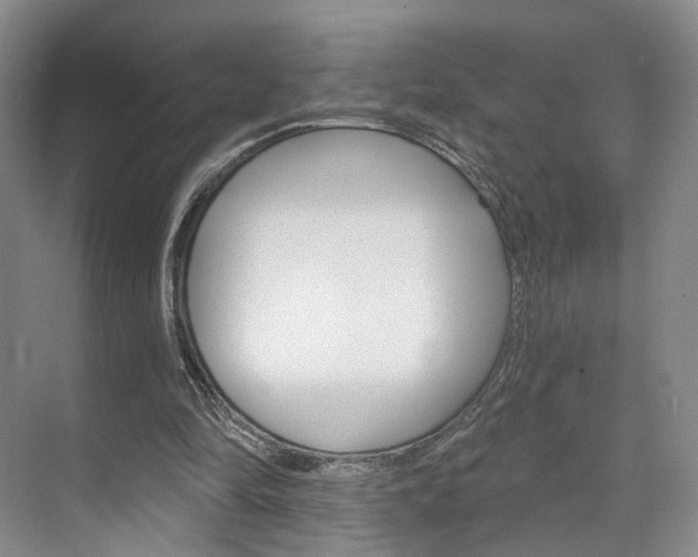 X0000071800294200606301017