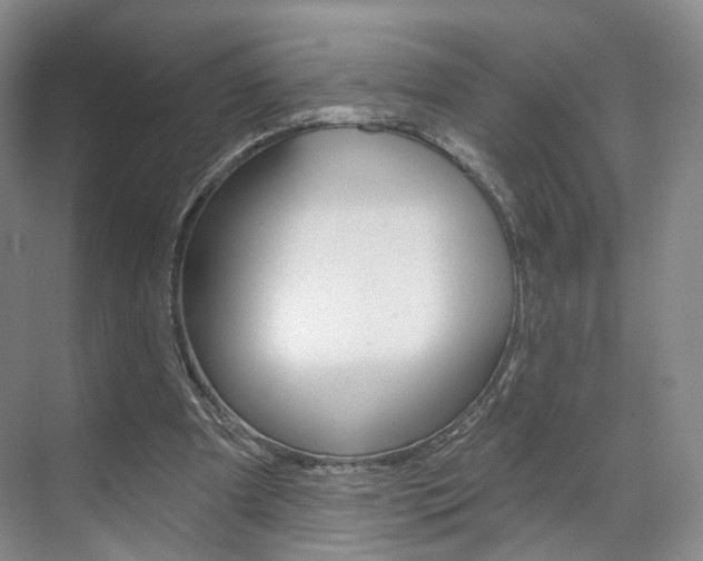 X0000071800297200606301017