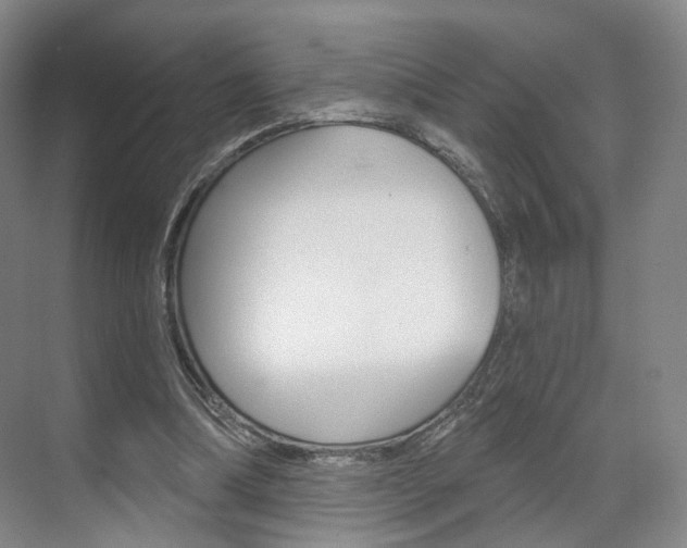 X0000071800298200606301017