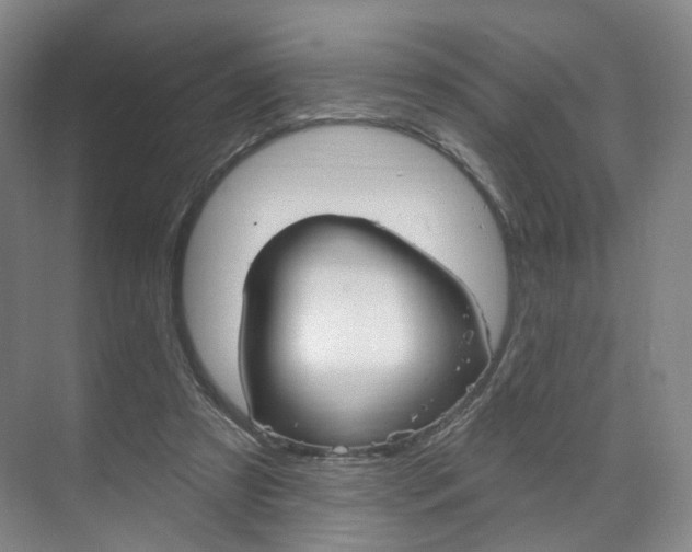 X0000071800305200606301016