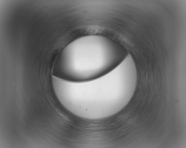X0000071800315200606301016