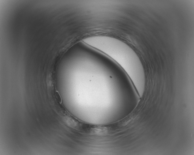 X0000071800317200606301016