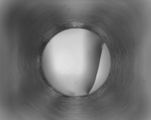 X0000071800321200606301016