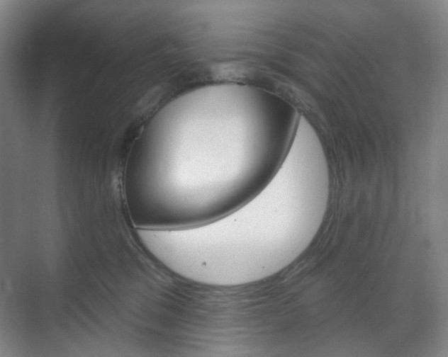 X0000071800329200606301016