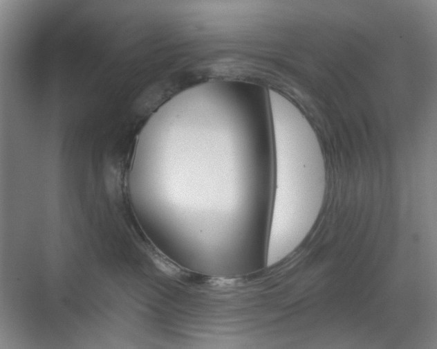 X0000071800333200606301016