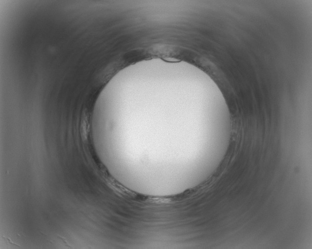 X0000071800334200606301016
